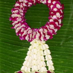 <strong>อ่านเพิ่มเติมเกี่ยวกับ</strong><br />โครงการอุทยานการอาชีพชัยพัฒนา จังหวัดนครปฐม จัดอบรมฝึกปฏิบัติ เรื่อง "การร้อยมาลัยบูชาพระคุณแม่" โครงการอุทยานการอาชีพชัยพัฒนา จังหวัดนครปฐม จัดอบรมฝึกปฏิบัติ เรื่อง "การร้อยมาลัยบูชาพระคุณแม่"